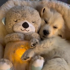 FUSKED Breathers™ Breathing Otter