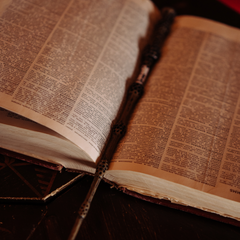 Plastic Magic Wands of Hogwarts (2025 Edition)