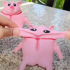 Fluffies™ Pig Squishy