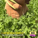 Fluffies™ Capybara with Turtle Backpack