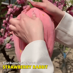 Fluffies™ Bunny inside Strawberry