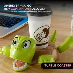 FUSKED Turtle Coaster