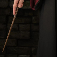 Magic Wands of Hogwarts (2025 Edition)