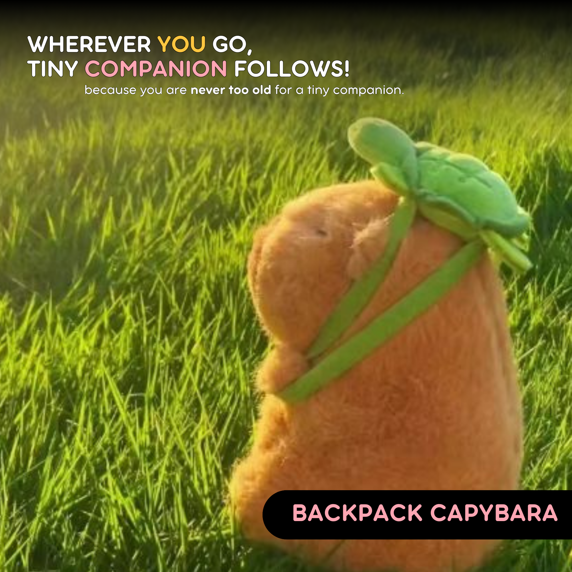 Fluffies™ Capybara with Turtle Backpack