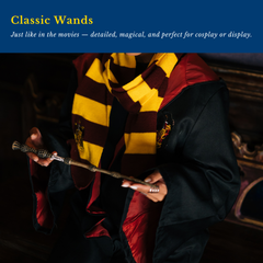 Magic Wands of Hogwarts (2025 Edition)