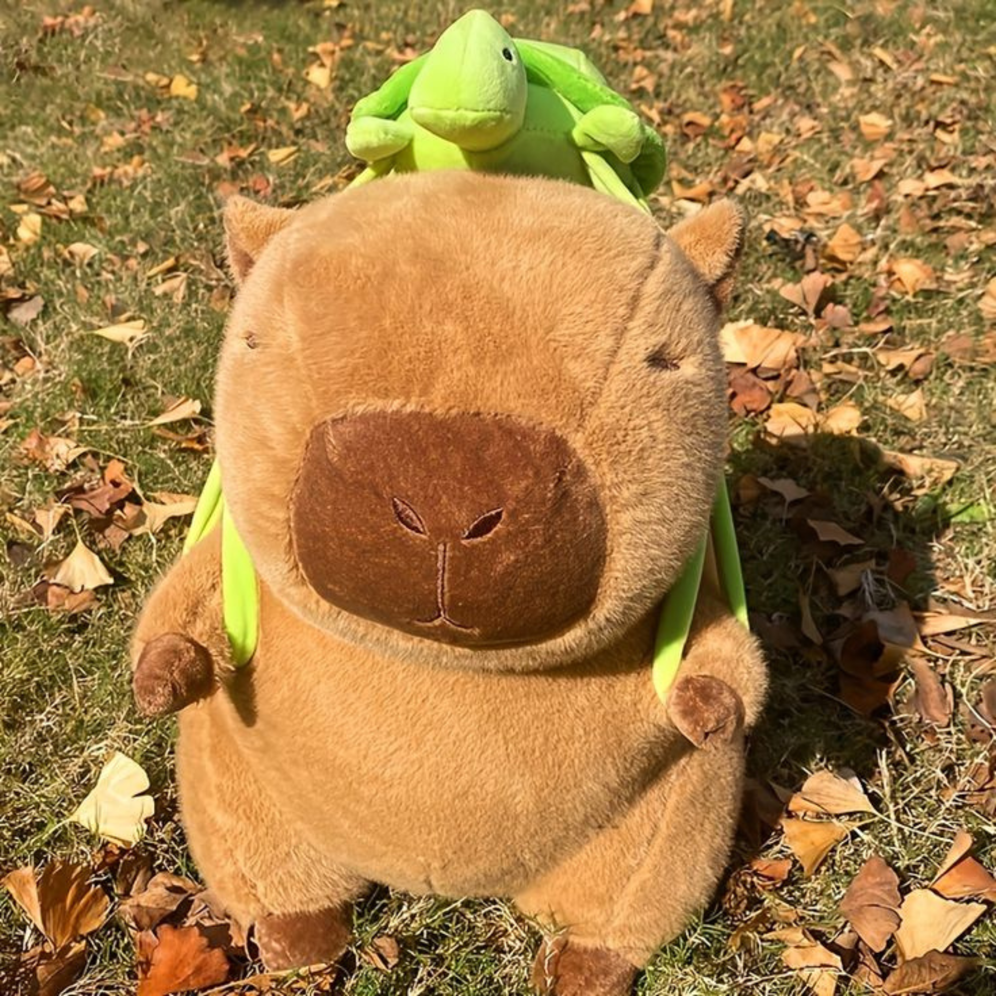 Fluffies™ Capybara with Turtle Backpack