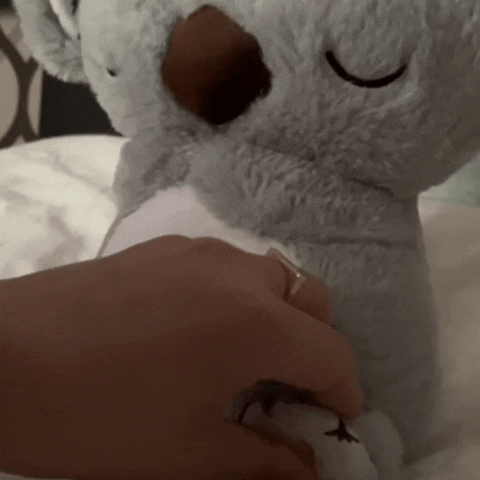 Breathers™ Breathing Koala