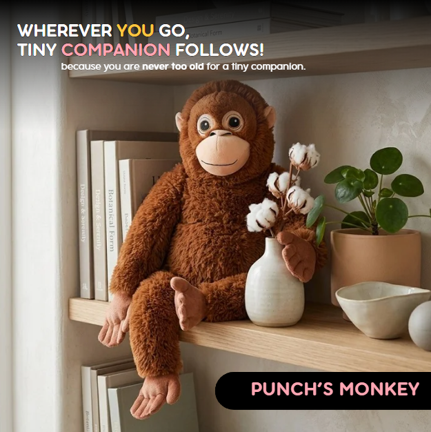 Flufies™ The Orangutan World Fell in Love With